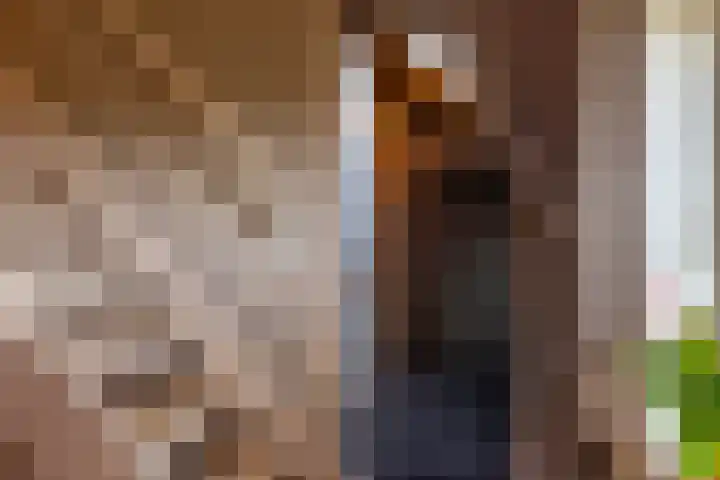 Medwerterwei 7 Holwert thumbnail 21