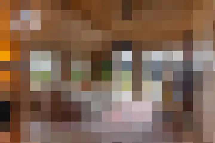 Medwerterwei 7 Holwert foto 3