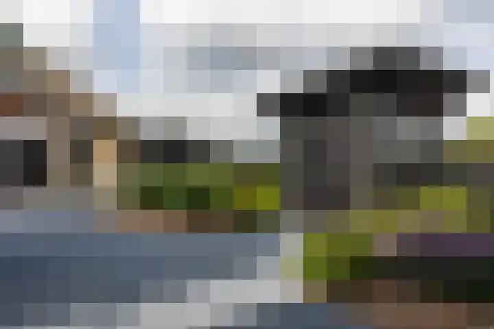 Medwerterwei 7 Holwert thumbnail 37