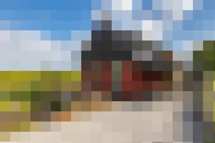 Medwerterwei 7 Holwert thumbnail 4