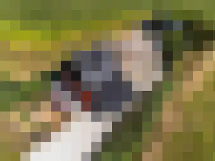 Medwerterwei 7 Holwert thumbnail 52