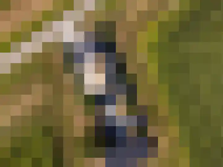 Medwerterwei 7 Holwert thumbnail 57