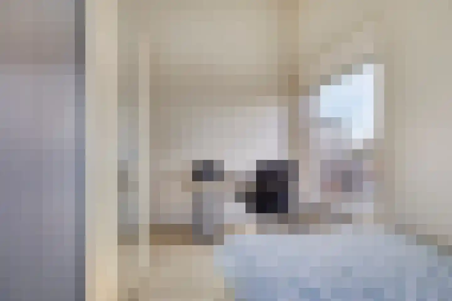 Meedhuizenstraat 1 Tilburg thumbnail 26