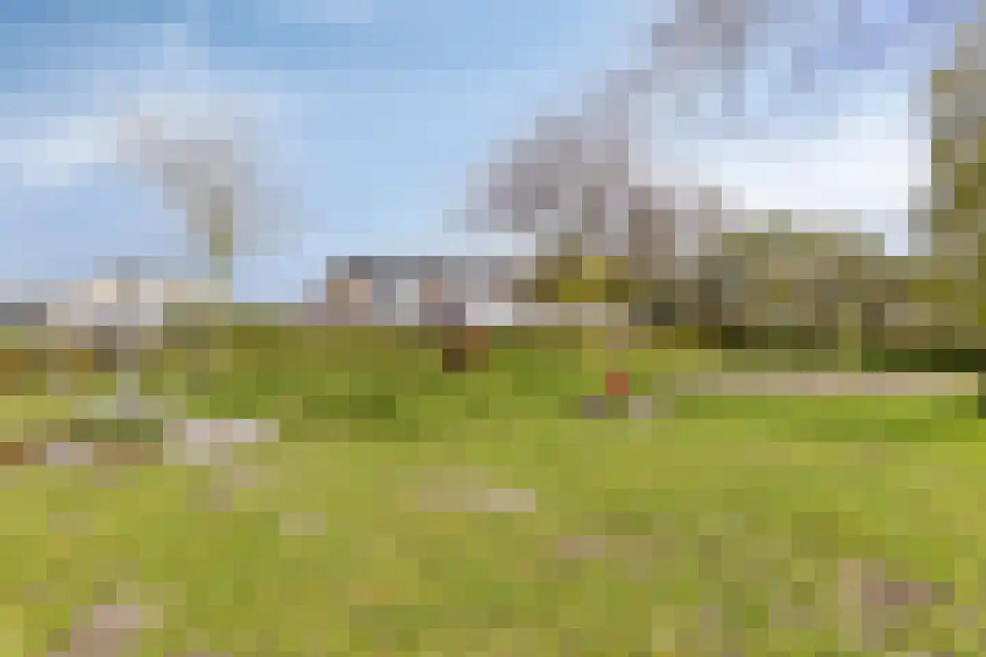 Meedhuizenstraat 1 Tilburg thumbnail 35