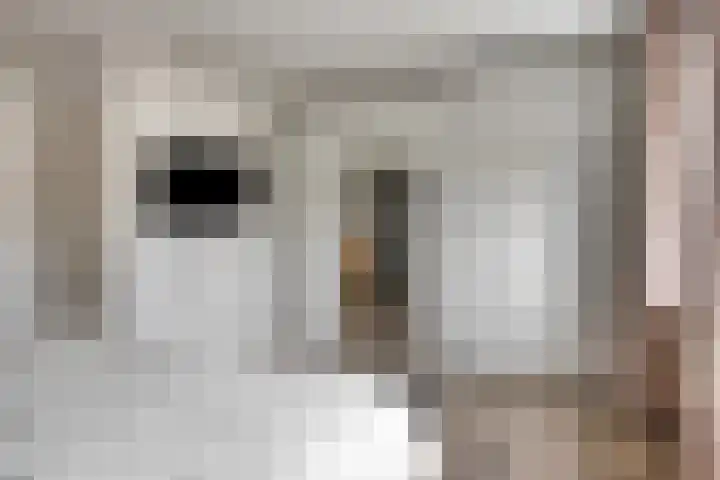 Meedhuizenstraat 39 Tilburg thumbnail 11