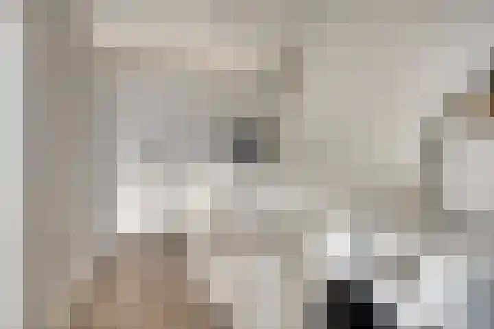 Meedhuizenstraat 39 Tilburg thumbnail 17