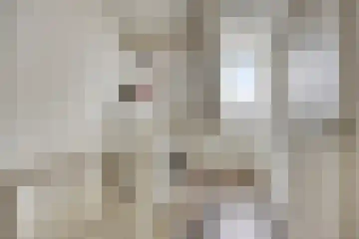 Meedhuizenstraat 39 Tilburg thumbnail 18