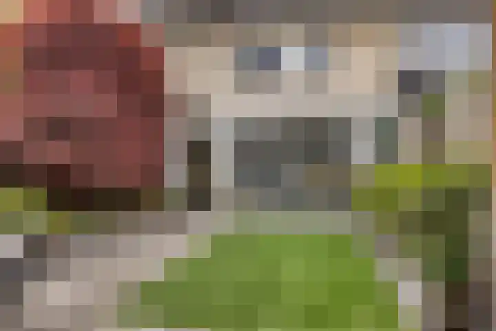 Meedhuizenstraat 39 Tilburg thumbnail 20