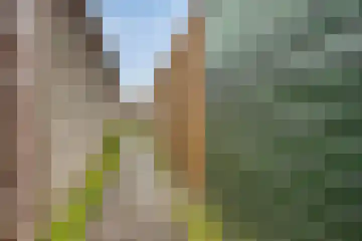 Meedhuizenstraat 39 Tilburg thumbnail 28