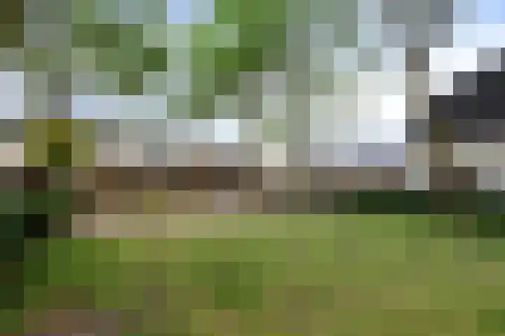 Meedhuizenstraat 39 Tilburg thumbnail 30