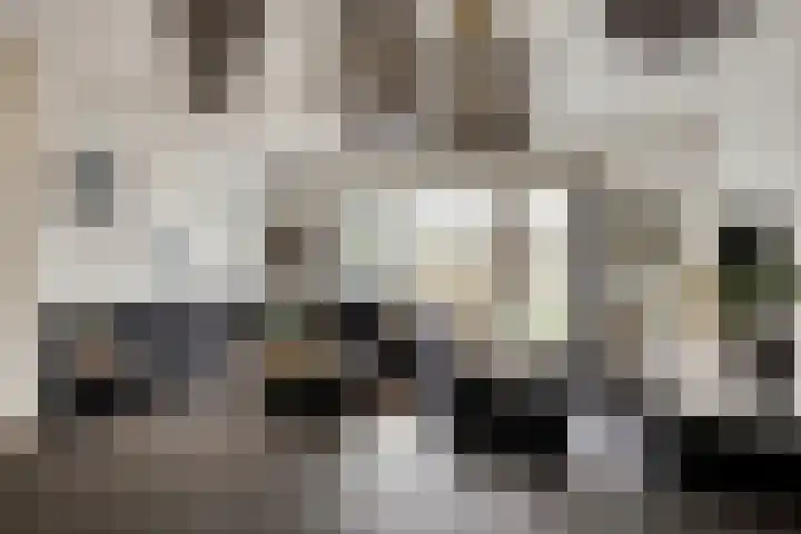 Meedhuizenstraat 39 Tilburg thumbnail 4