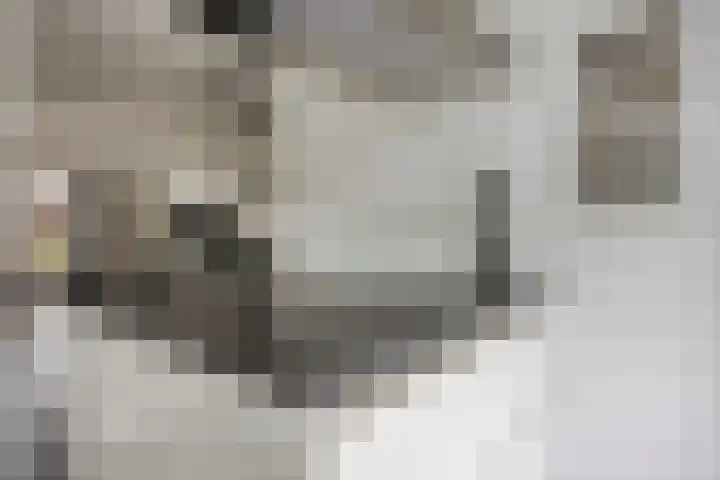 Meedhuizenstraat 39 Tilburg thumbnail 5