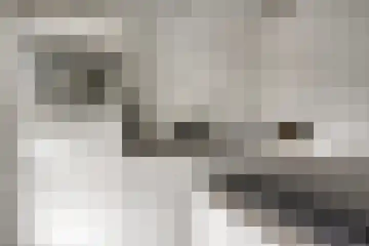 Meedhuizenstraat 39 Tilburg thumbnail 6