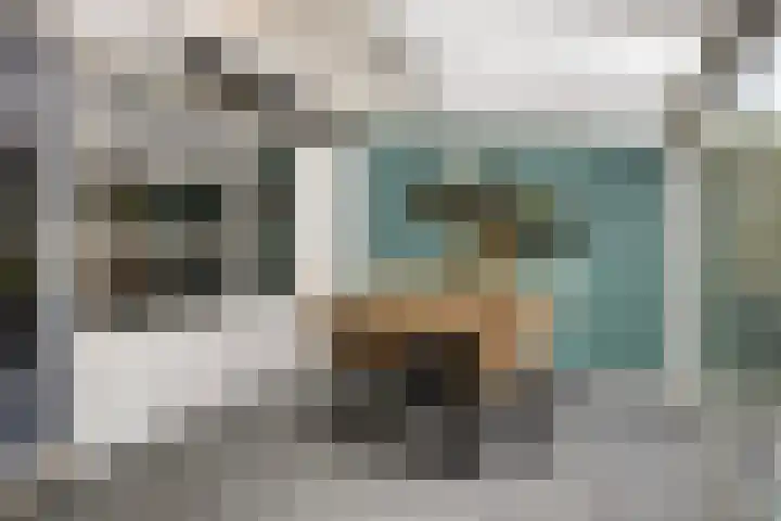 Meedhuizenstraat 39 Tilburg thumbnail 7