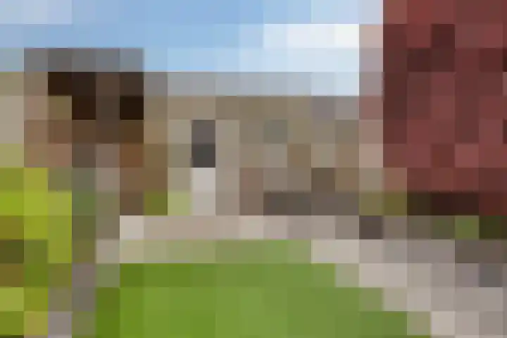 Meedhuizenstraat 39 Tilburg thumbnail 8