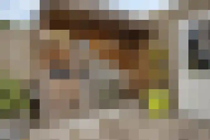 Meedhuizenstraat 39 Tilburg thumbnail 9