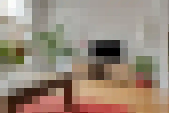 Meedhuizenstraat 4 Tilburg thumbnail 11