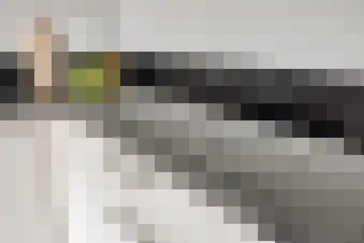 Meedhuizenstraat 4 Tilburg thumbnail 18