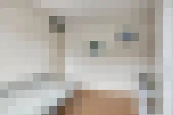 Meedhuizenstraat 4 Tilburg thumbnail 28