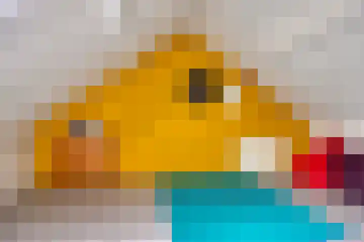 Meedhuizenstraat 4 Tilburg thumbnail 32