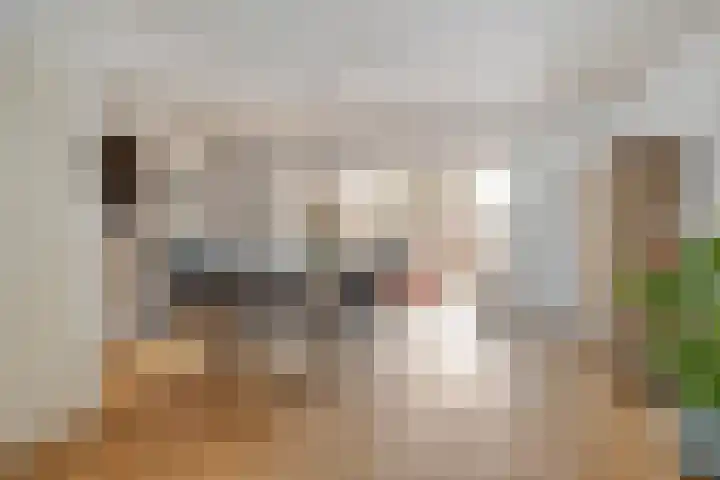 Meedhuizenstraat 4 Tilburg thumbnail 8