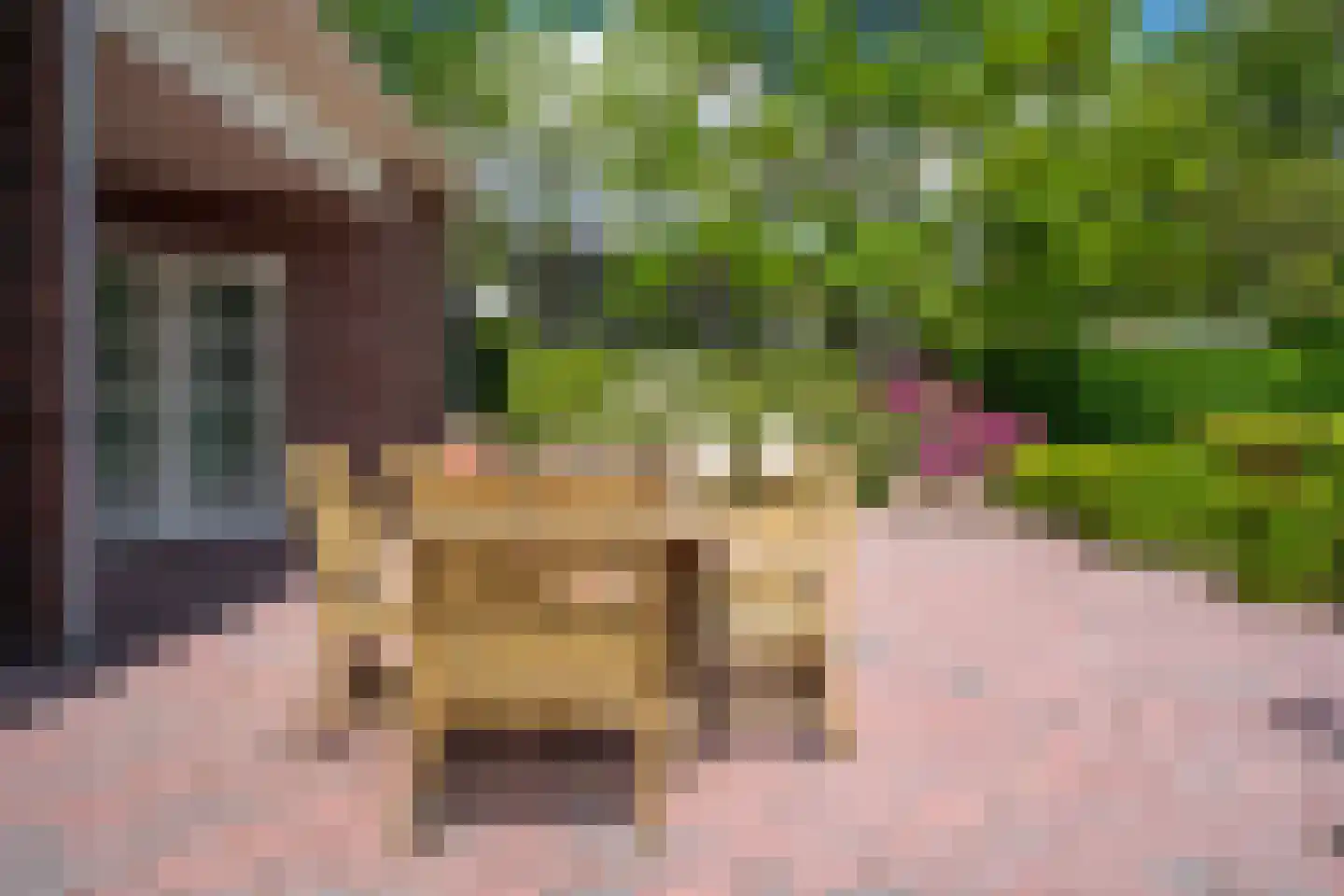 Meedhuizerweg 40 A Meedhuizen thumbnail 68
