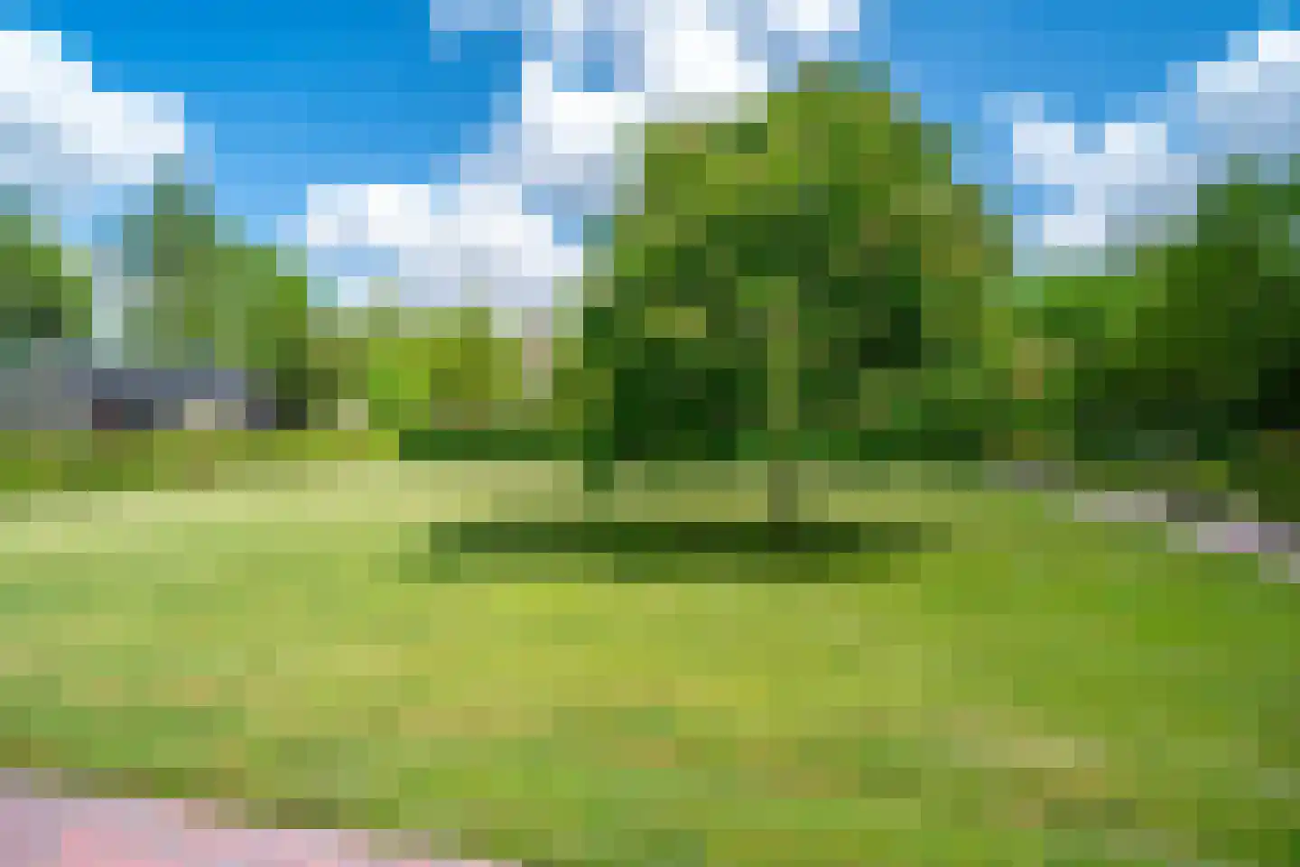 Meedhuizerweg 40 A Meedhuizen thumbnail 69