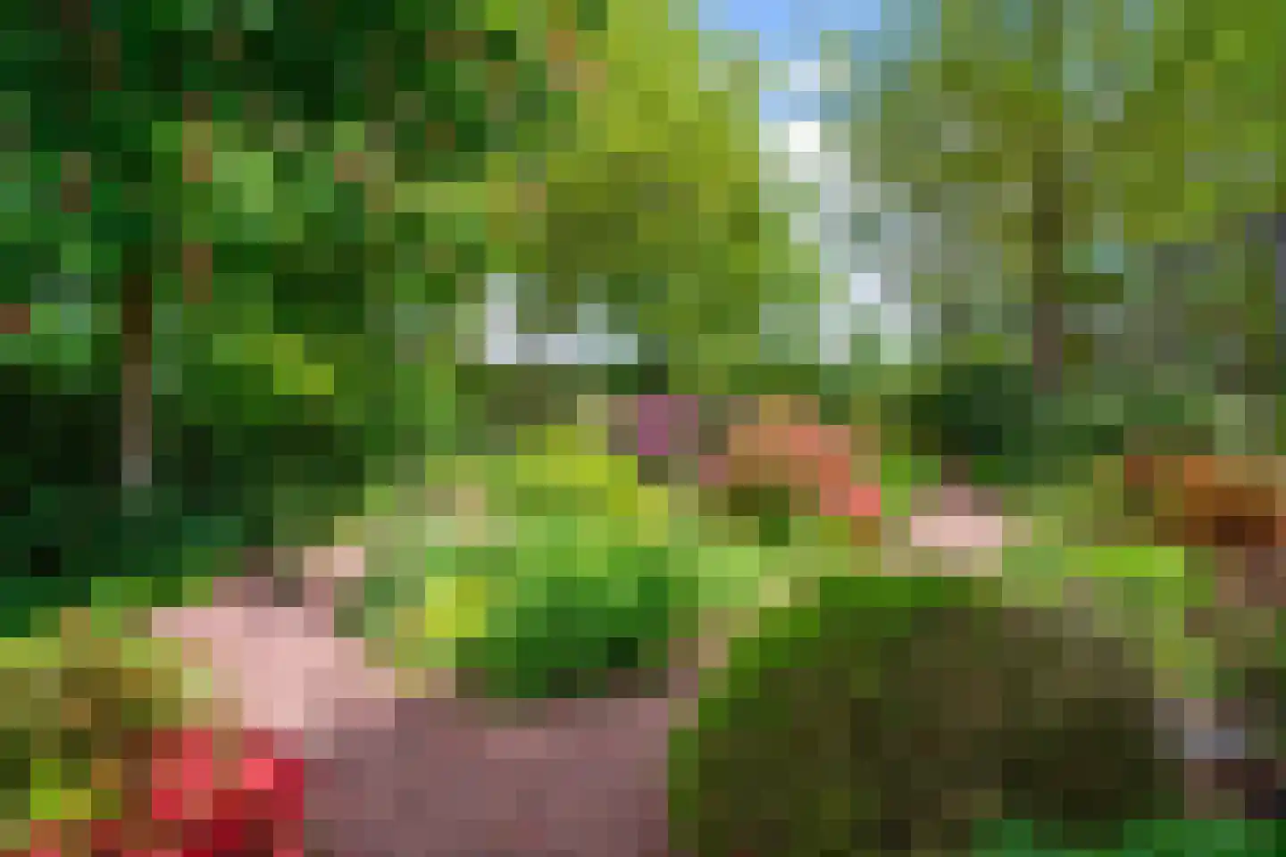 Meedhuizerweg 40 A Meedhuizen thumbnail 76