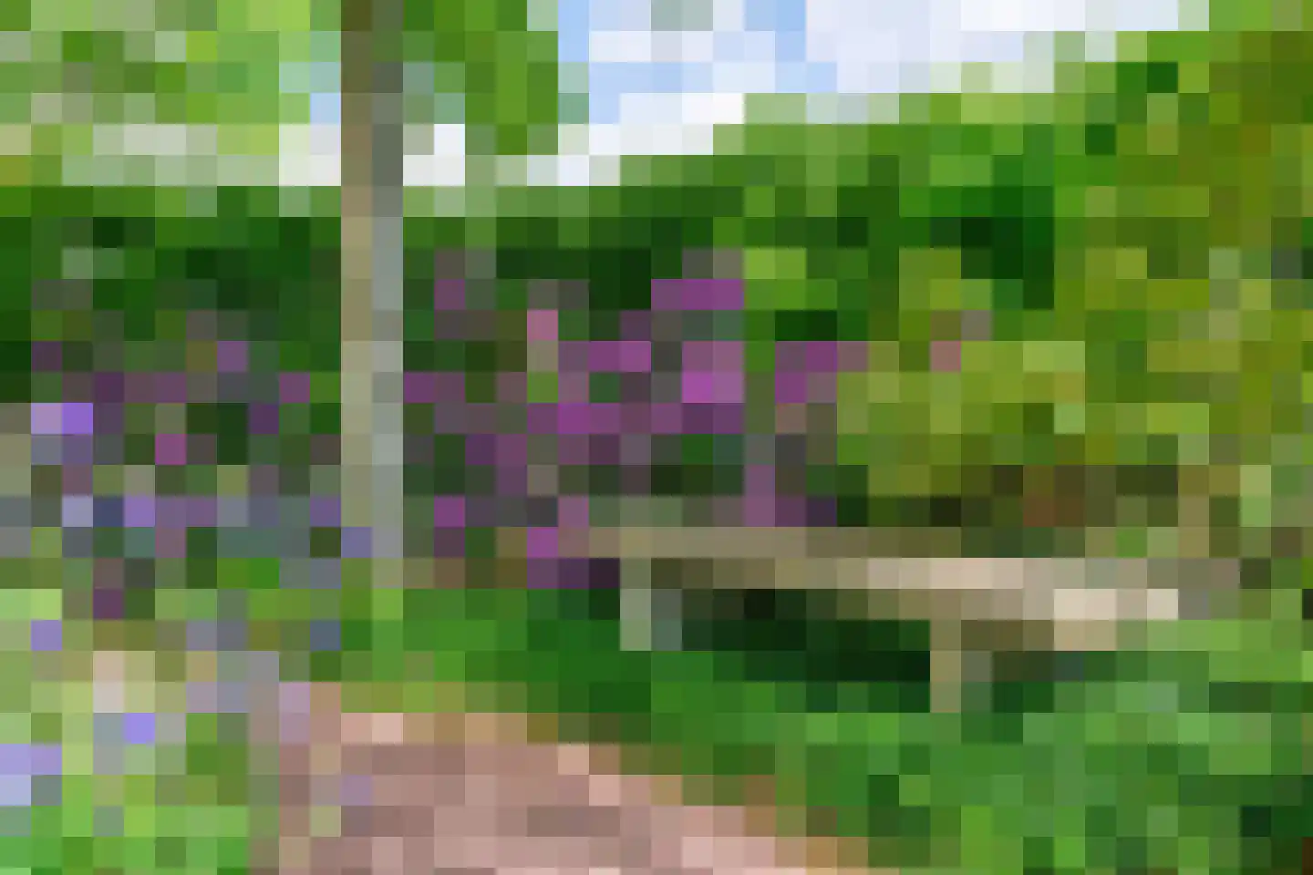 Meedhuizerweg 40 A Meedhuizen thumbnail 77