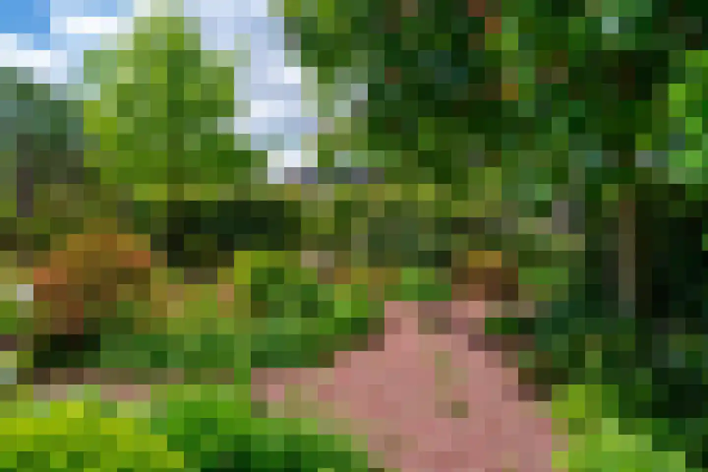 Meedhuizerweg 40 A Meedhuizen thumbnail 78