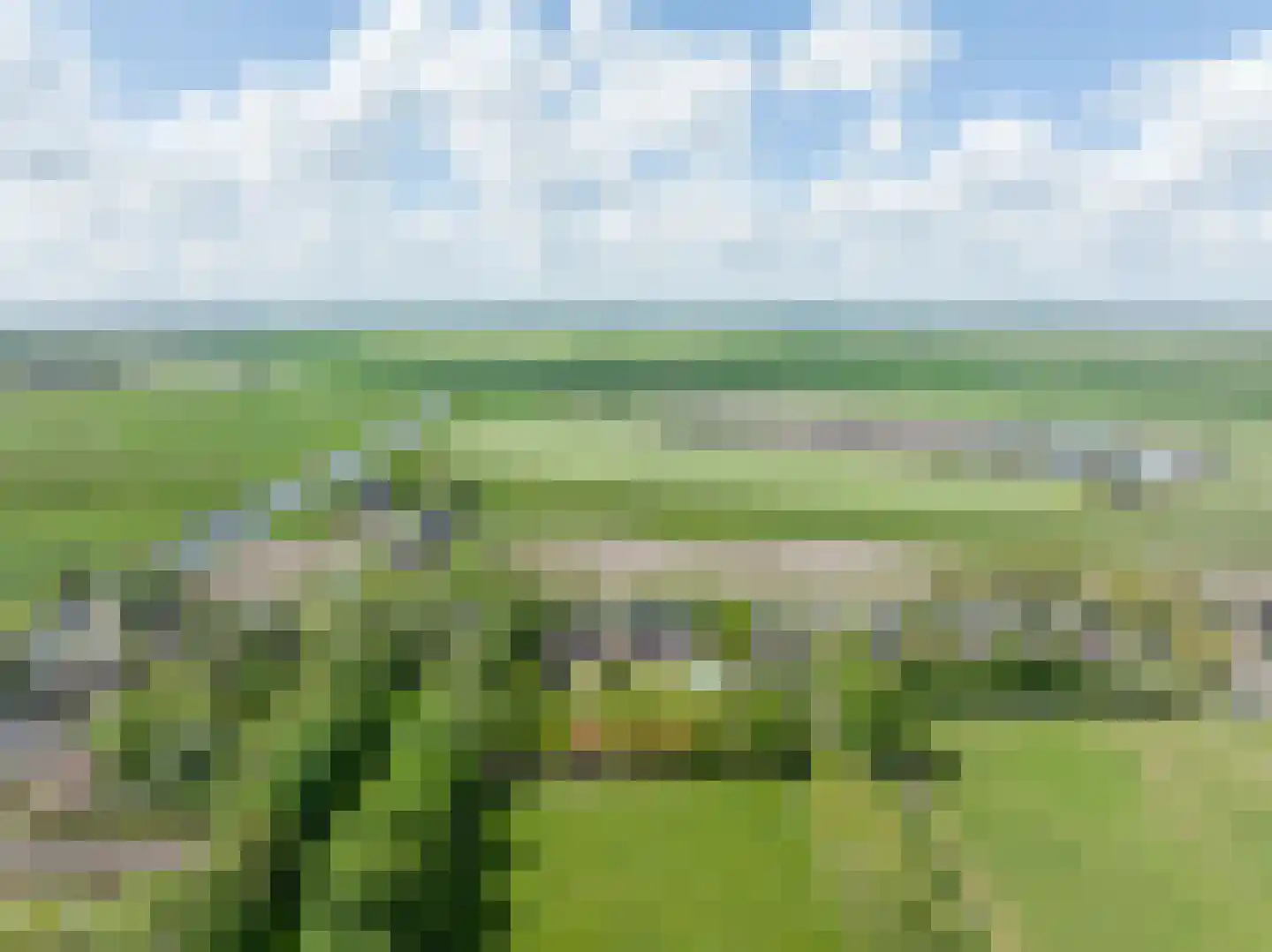 Meedhuizerweg 40 A Meedhuizen thumbnail 85