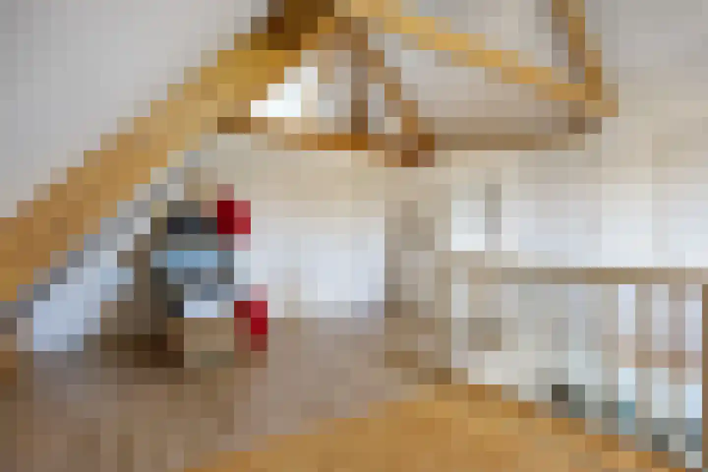 Meedsterweg 8 Uithuizermeeden thumbnail 33