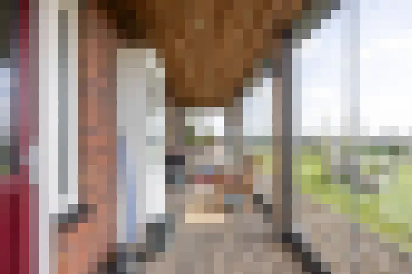 Meedsterweg 8 Uithuizermeeden thumbnail 42