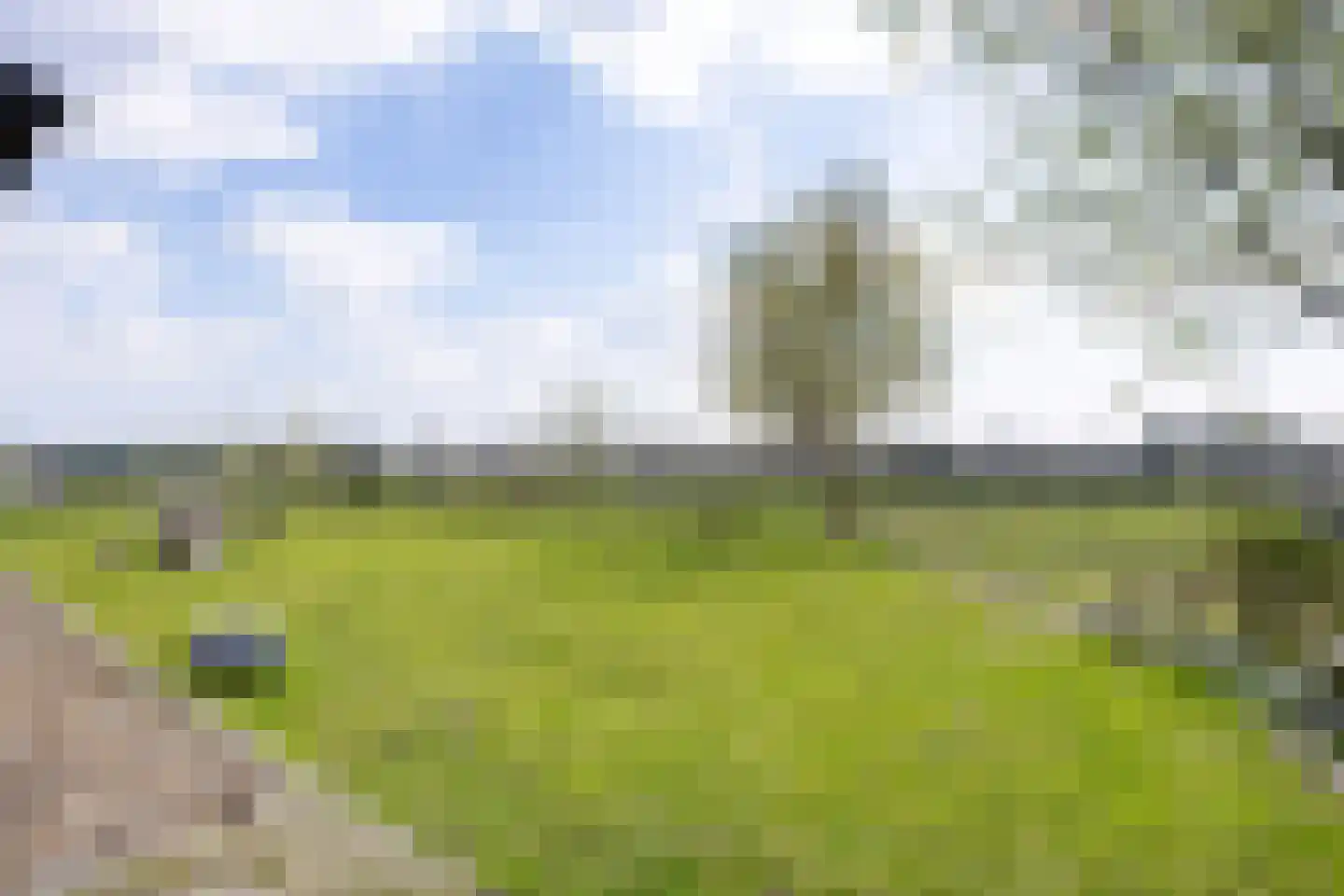 Meedsterweg 8 Uithuizermeeden thumbnail 46