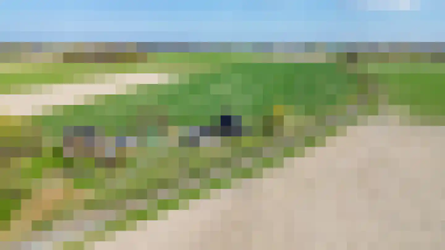 Meedsterweg 8 Uithuizermeeden thumbnail 65