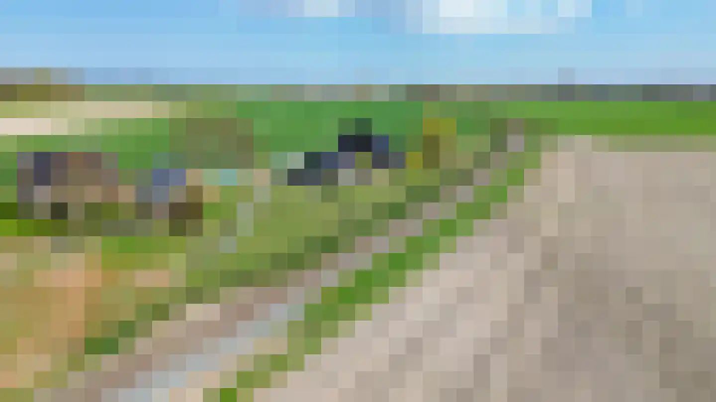Meedsterweg 8 Uithuizermeeden thumbnail 66