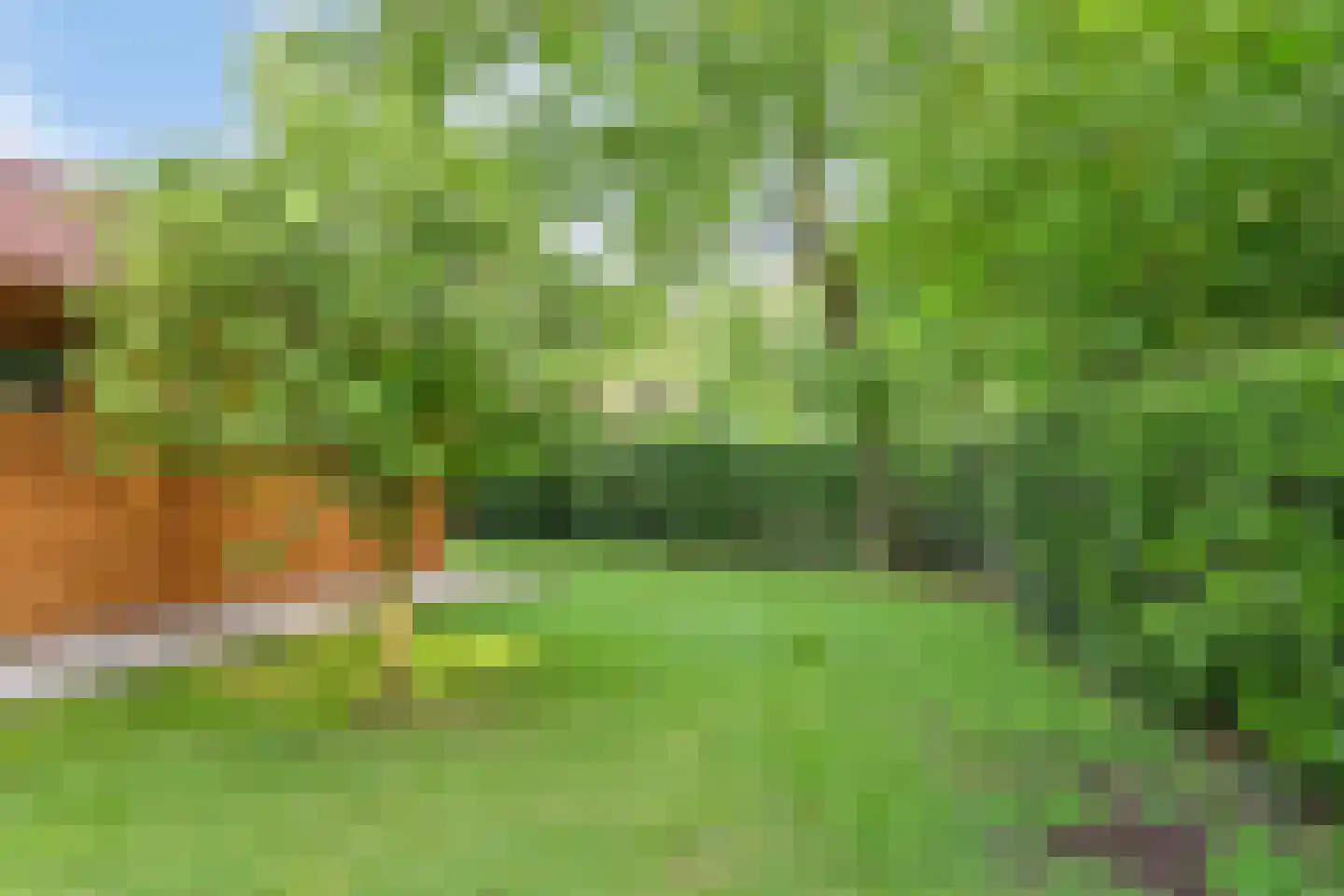 Meekertweg 8 28 Winterswijk thumbnail 20