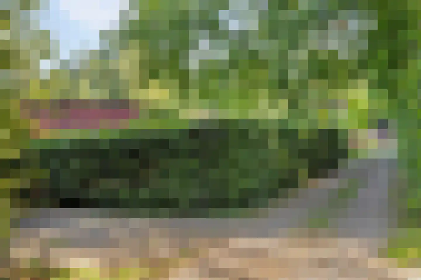 Meekertweg 8 28 Winterswijk thumbnail 4