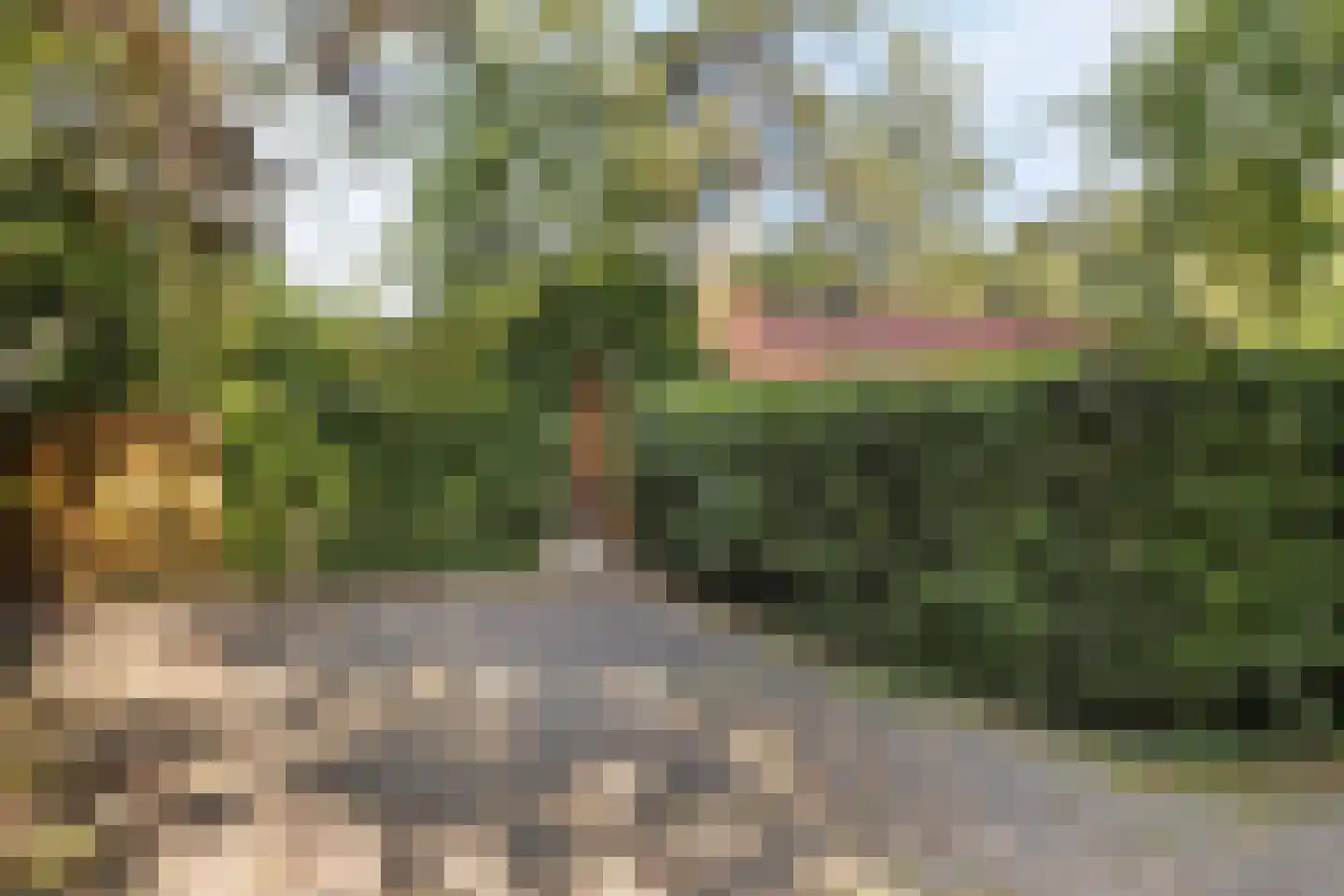 Meekertweg 8 28 Winterswijk thumbnail 5