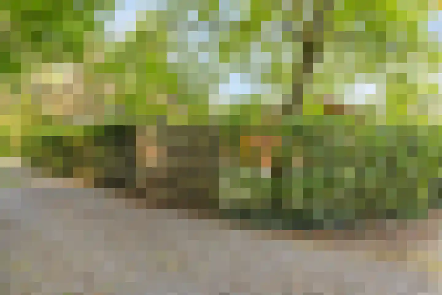 Meekertweg 8 28 Winterswijk thumbnail 6