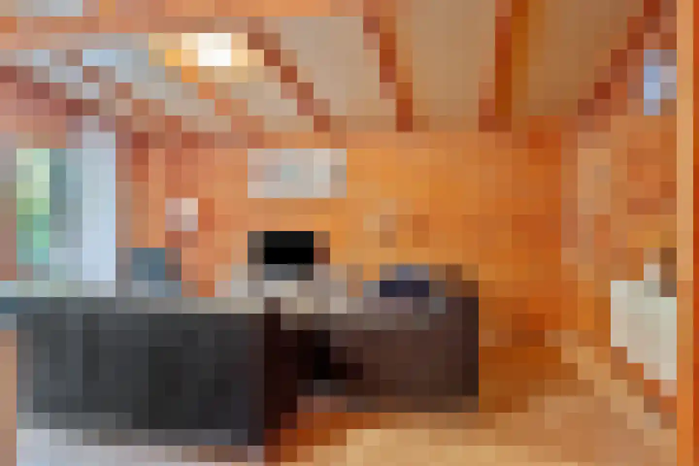Meekertweg 8 28 Winterswijk thumbnail 7