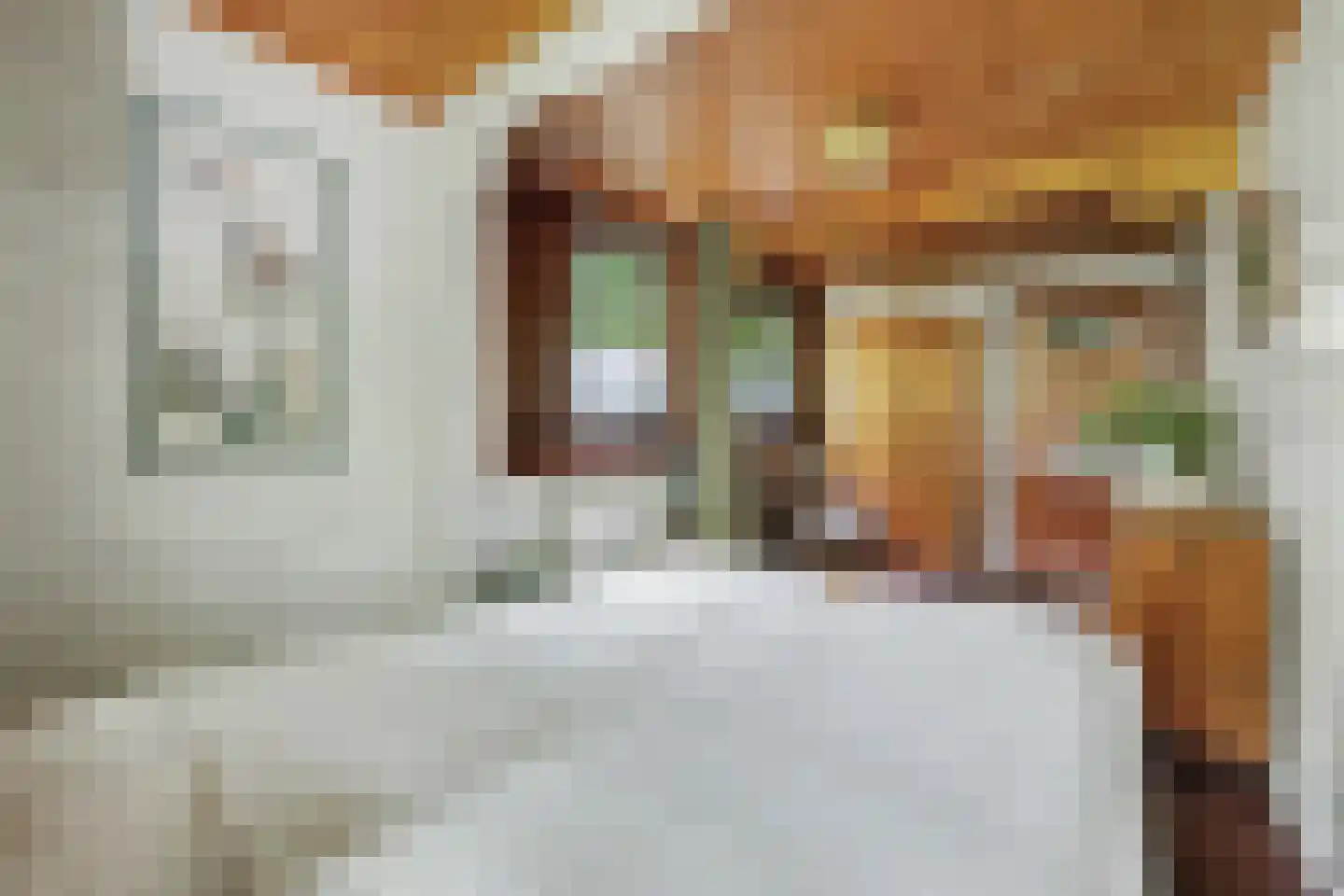Meekertweg 8 34 Winterswijk thumbnail 14