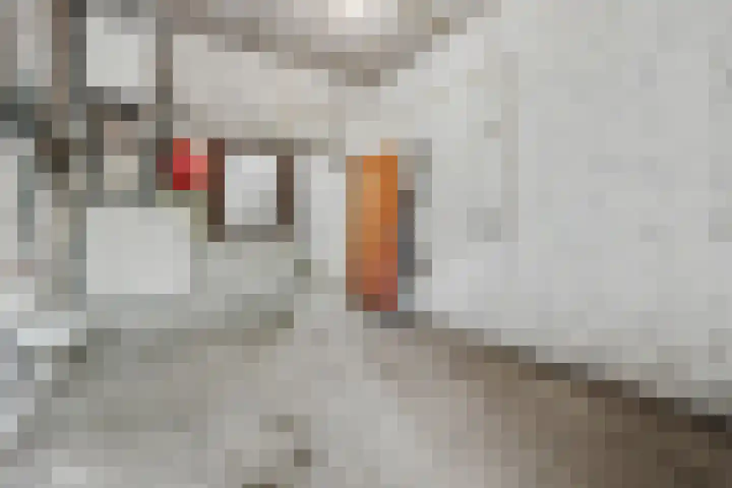 Meekertweg 8 34 Winterswijk thumbnail 19