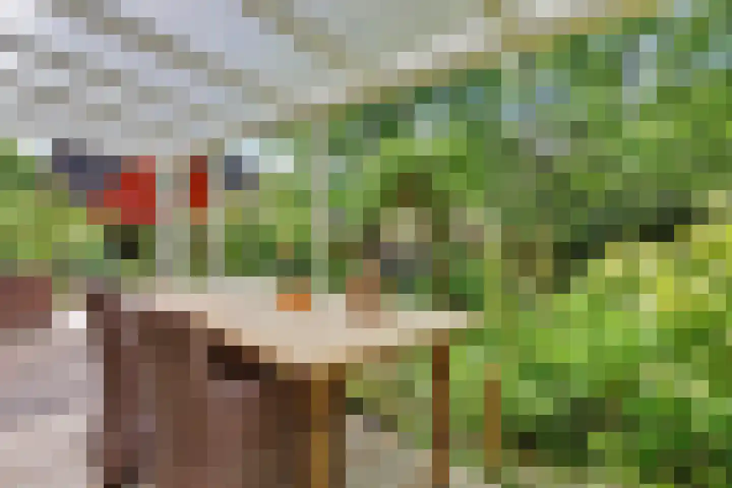 Meekertweg 8 34 Winterswijk thumbnail 23