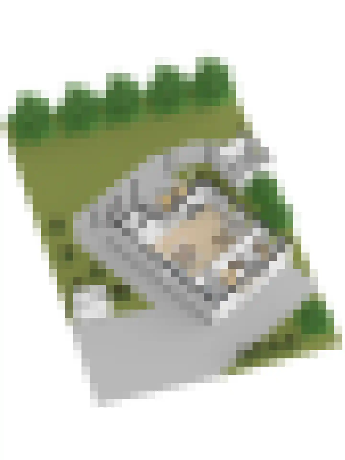 Meekertweg 8 34 Winterswijk thumbnail 39