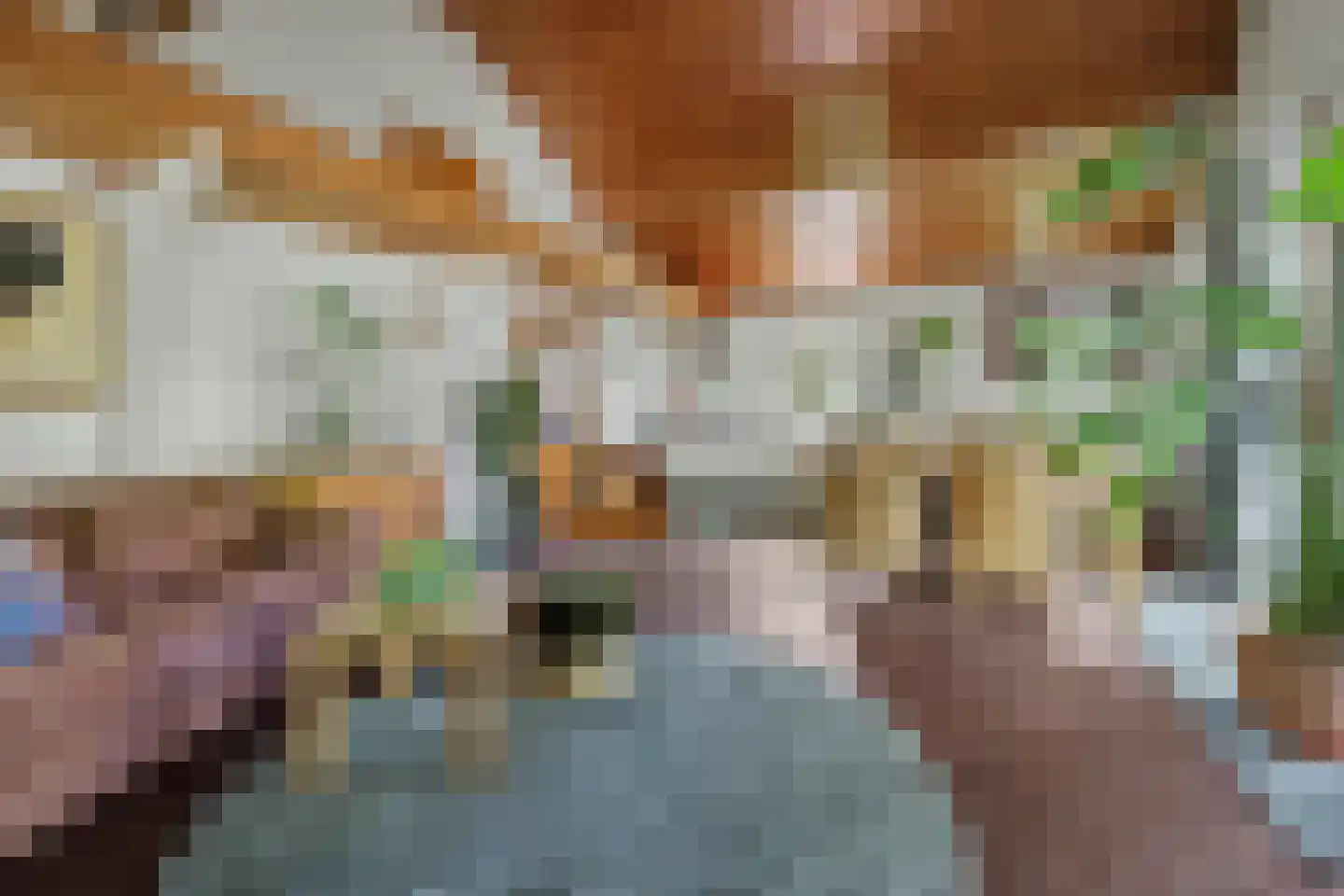 Meekertweg 8 34 Winterswijk thumbnail 5