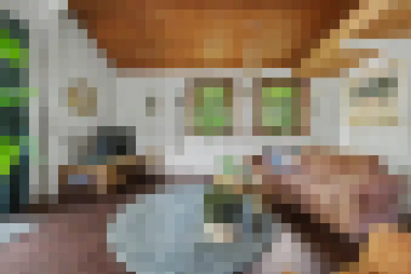 Meekertweg 8 34 Winterswijk thumbnail 6
