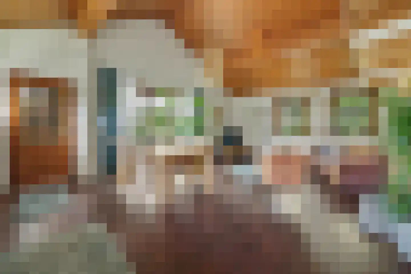 Meekertweg 8 34 Winterswijk thumbnail 8