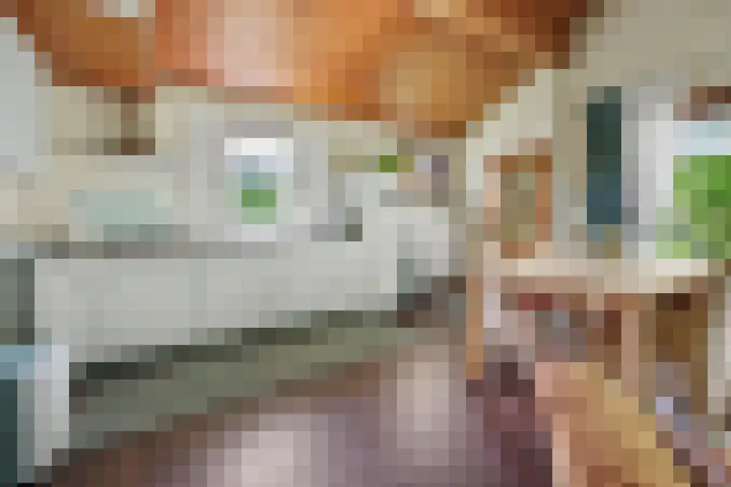 Meekertweg 8 34 Winterswijk thumbnail 9