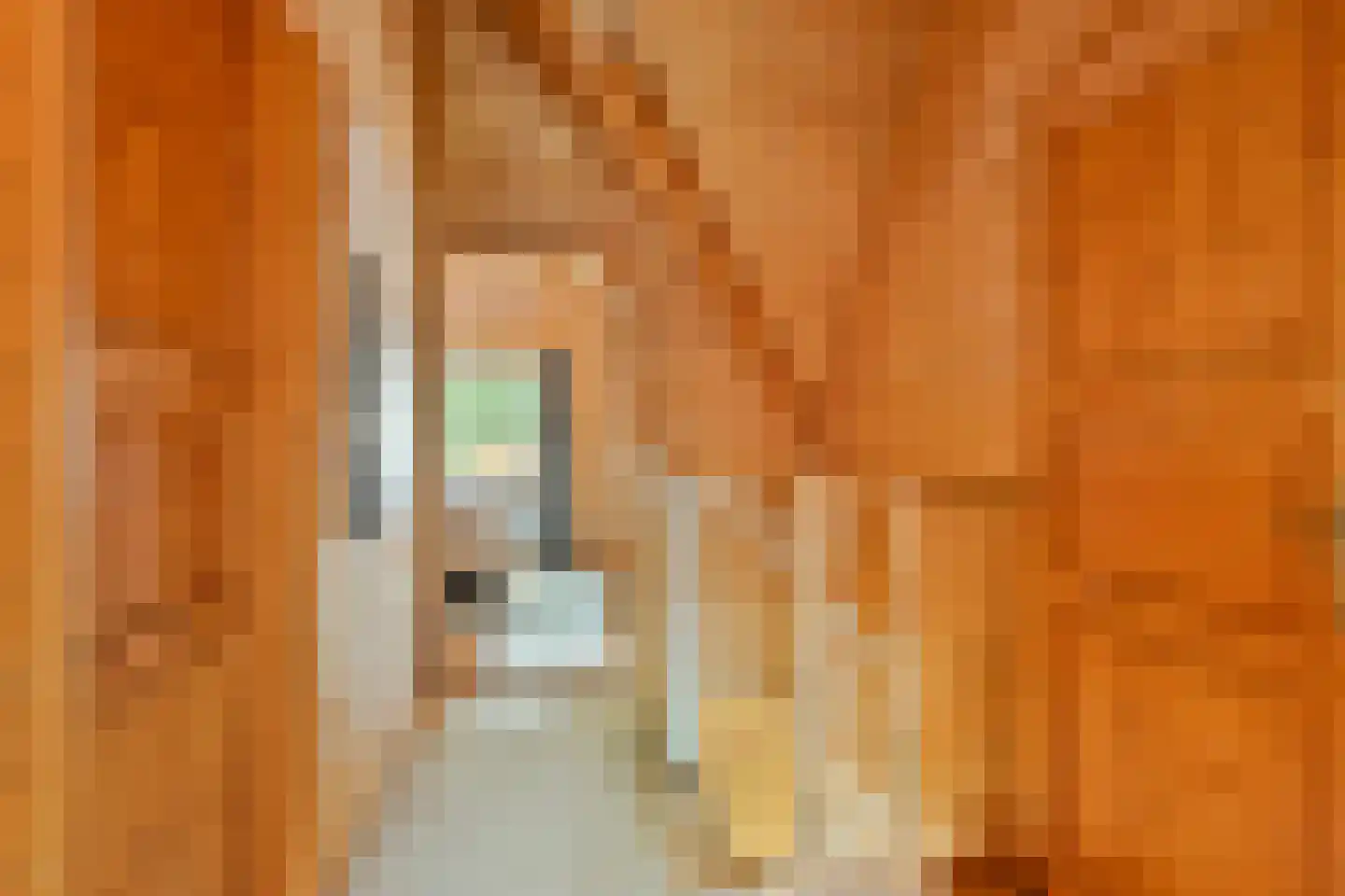 Meekertweg 8 35 Winterswijk thumbnail 24